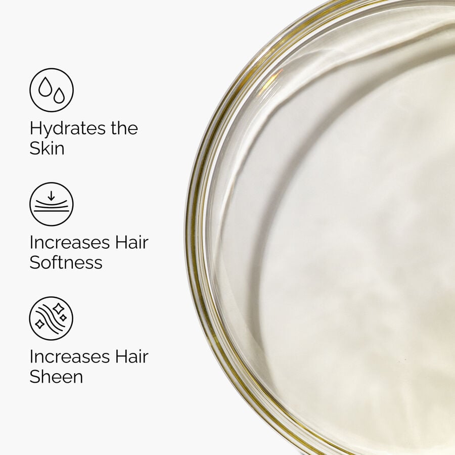 100-organic-cold-pressed-moroccan-argan-oil-l8 FY25-D41247-ORD-Web-PDP-100-Argan-Oil-1x1-EN-3.jpg