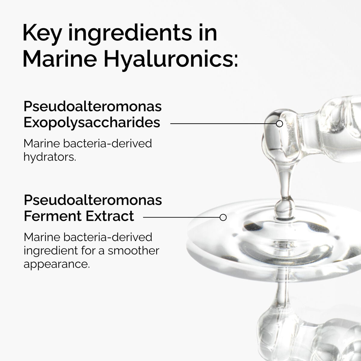 marine-hyaluronics-o6 FY25-D41247-ORD-Web-PDP-Marine-Hya-1x1-EN-2a.jpg